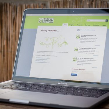 WordPress Website Website bildungsnetzwerk-stmk