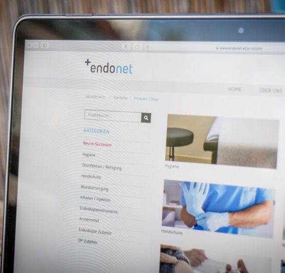 Website-Screen-endonet-01 Joomla Template Website endonet.at