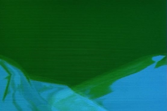 Film Clip 3 555x370 - #SYSMADE Nr-1-100pro