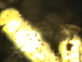 mobilität.mov 09 - mobility