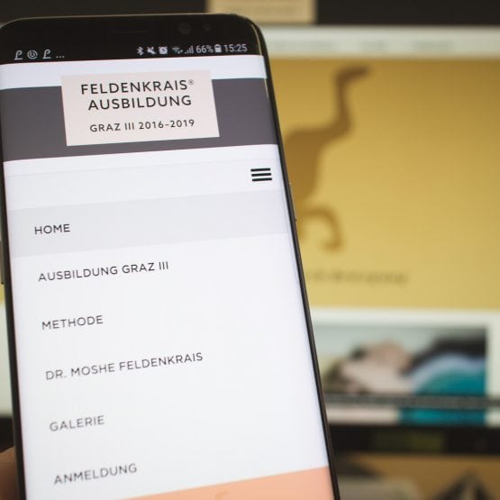 Website-Screenfotos-feldenkrais-training.at-sm-006 Wordpress Theme Website feldenkrais-training.at