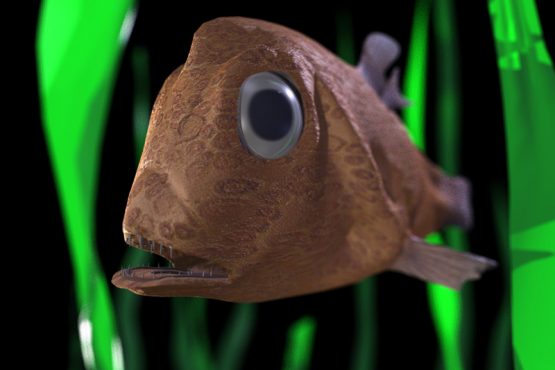 fish gross 555x370 - div3D