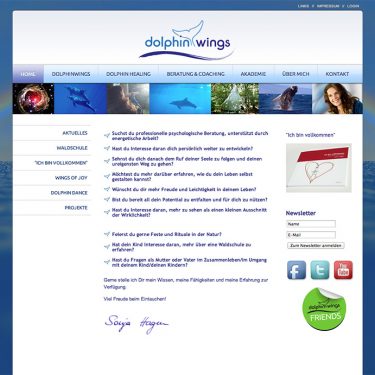 website screenshot dolphinwings gross 375x375 - Website Archiv