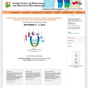 website screenshot summerschool gross 375x375 - Website Archiv